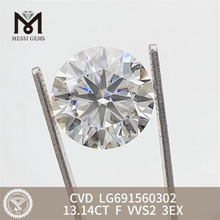 13,14 CT F VVS2 3EX CVD loser Labordiamant LG691560302 